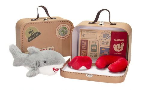 Shark Travel Adventure Kit