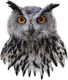 I Am Owl 535 Piece Puzzle